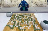 天龙SF重现经典江湖：珍珑棋局燕子坞再现，体验段誉轻功乔峰掌法
